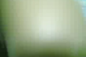 Damiano