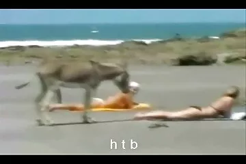 मेरी गांड चूमो, सावधान बीएफ सेक्सी मूवी वीडियो में रहो ।